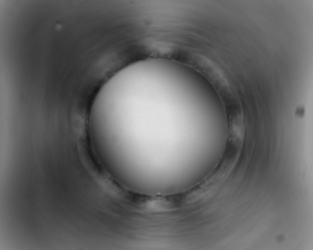 X0000103220468200808281412