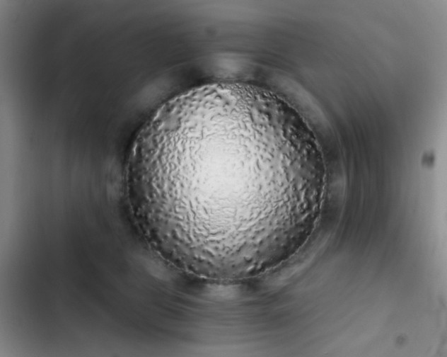 X0000103220469200808281412