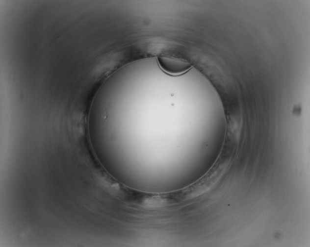 X0000103220470200808281412