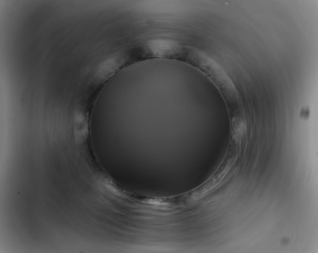 X0000103220471200808281412