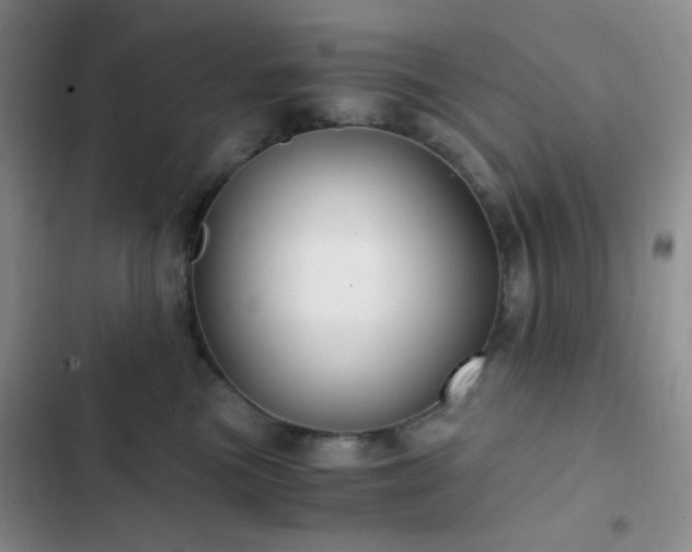 X0000103220473200808281412