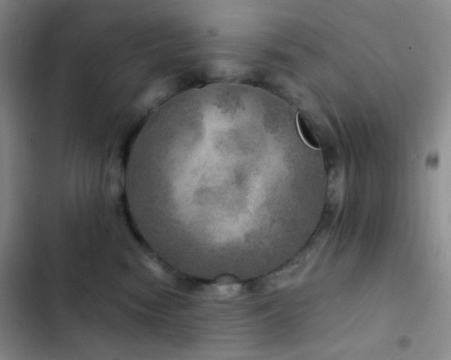 X0000103220474200808281412