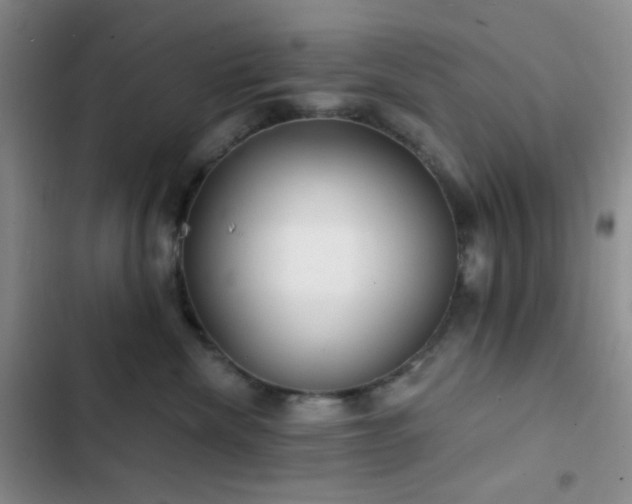 X0000103220476200808281412