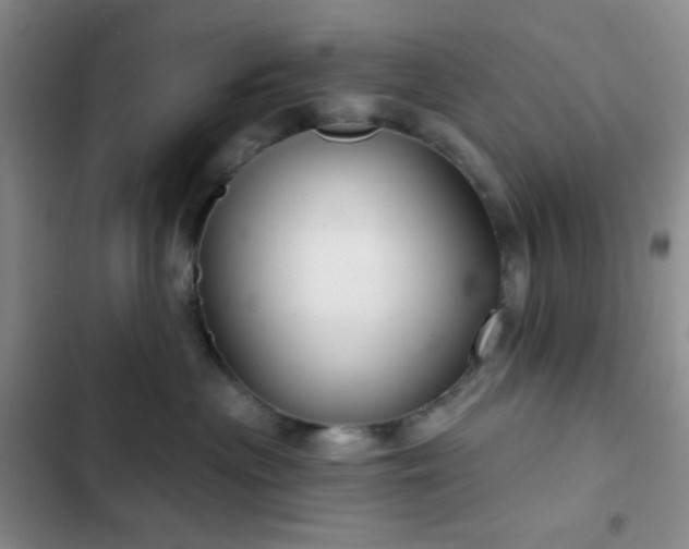 X0000103220477200808281412