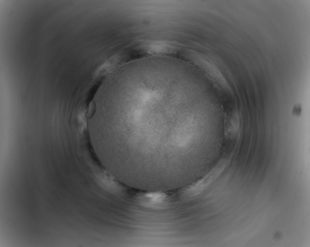 X0000103220478200808281412