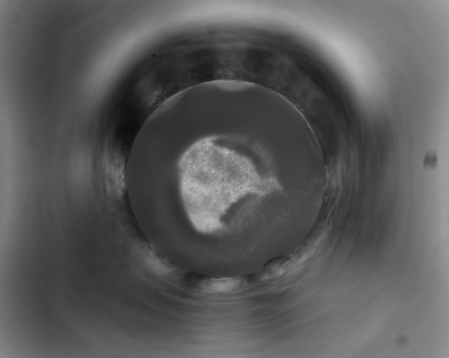 X0000103220479200808281412