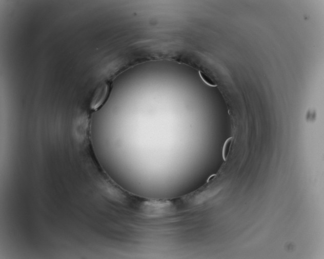 X0000103220480200808281412
