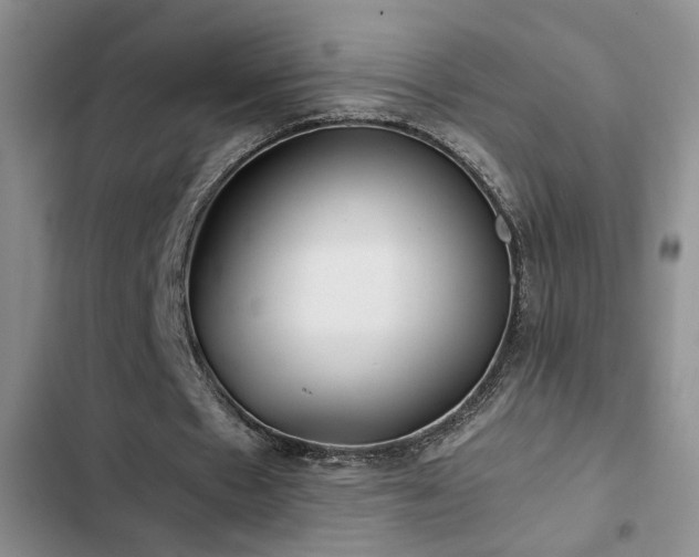 X0000103220481200808281411