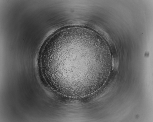 X0000103220483200808281411