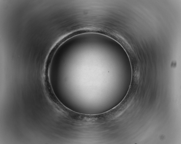 X0000103220484200808281411