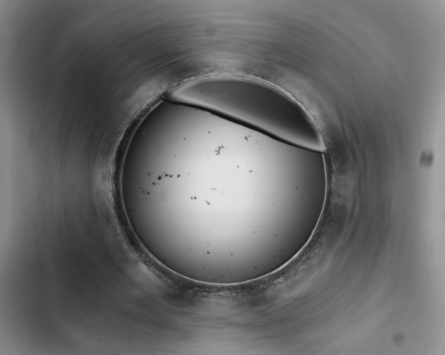 X0000103220485200808281411