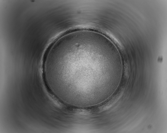 X0000103220486200808281411