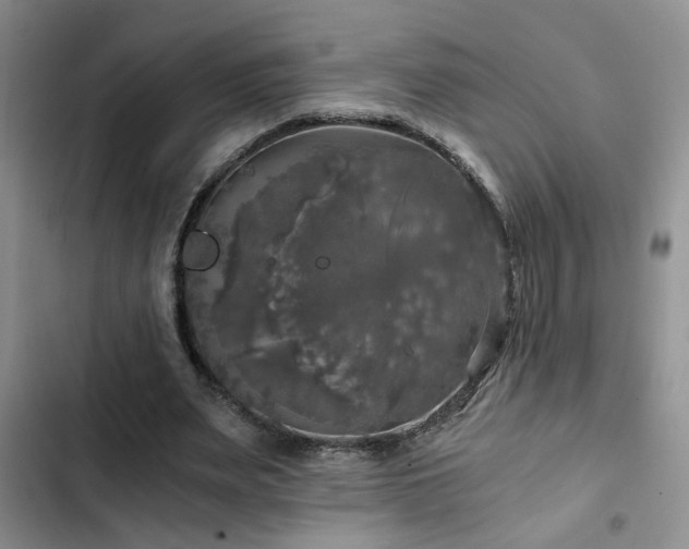 X0000103220487200808281411