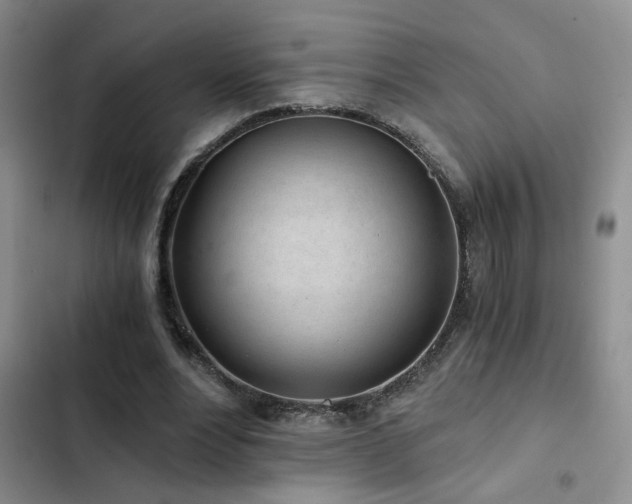 X0000103220488200808281411