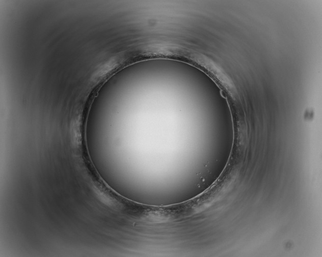 X0000103220489200808281411