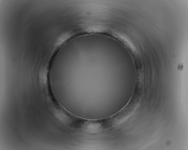 X0000103220491200808281411