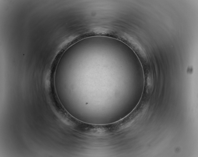 X0000103220492200808281411