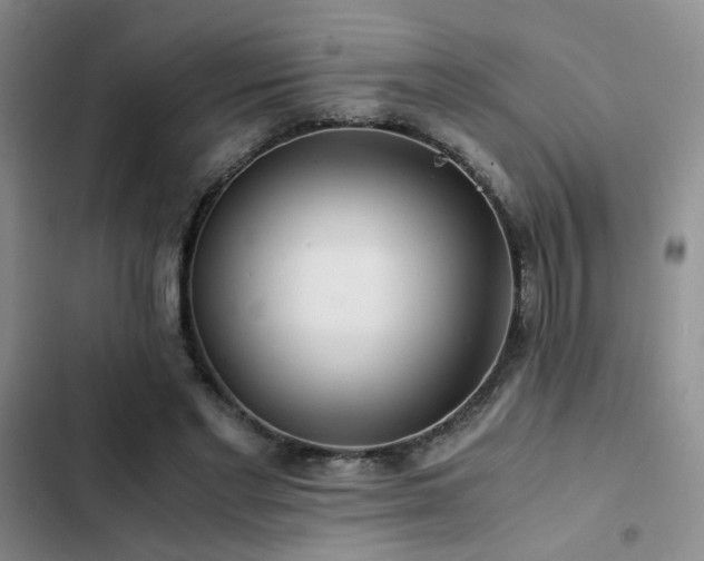 X0000103220493200808281411