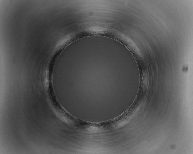 X0000103220494200808281411