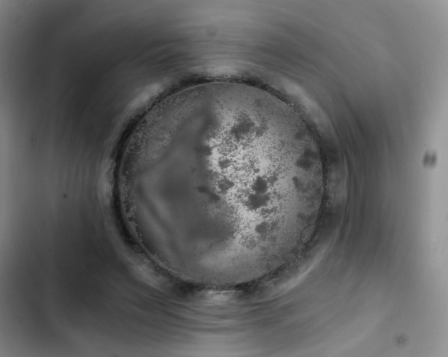 X0000103220495200808281411