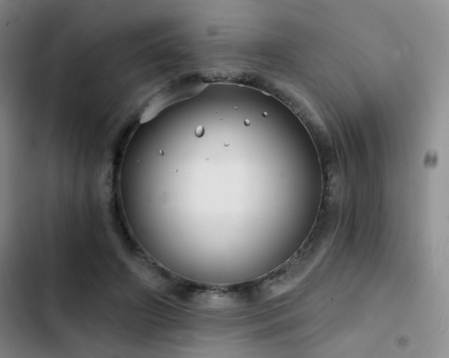 X0000103220498200808281411
