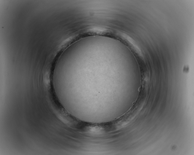 X0000103220500200808281411