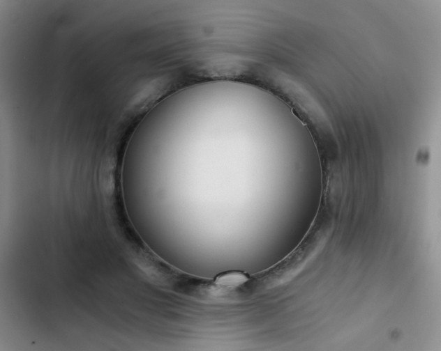 X0000103220501200808281411