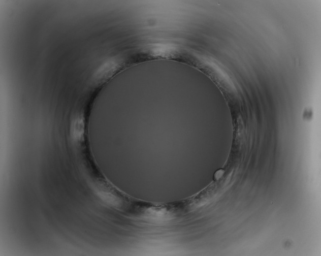 X0000103220502200808281411