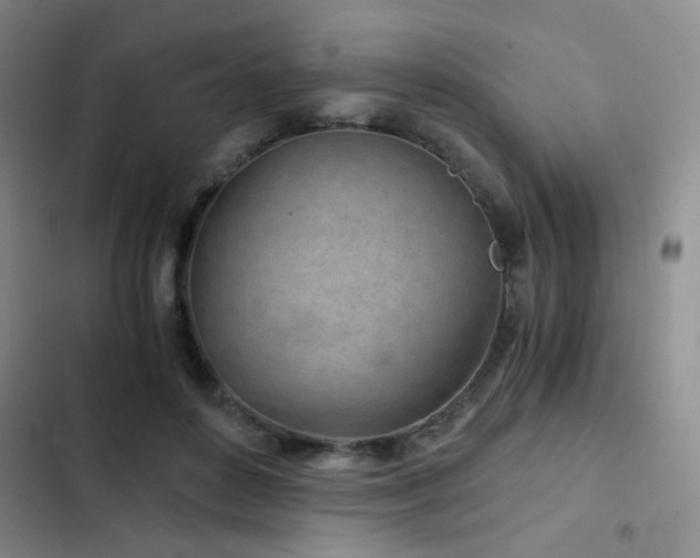 X0000103220504200808281411