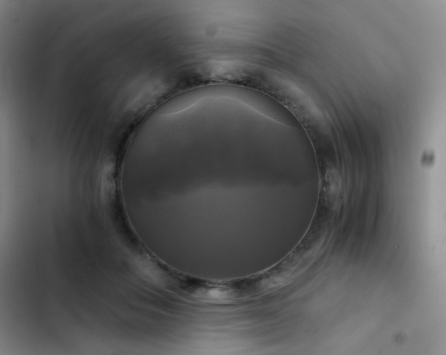 X0000103220506200808281411