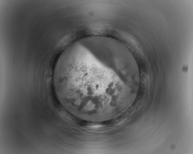 X0000103220507200808281411