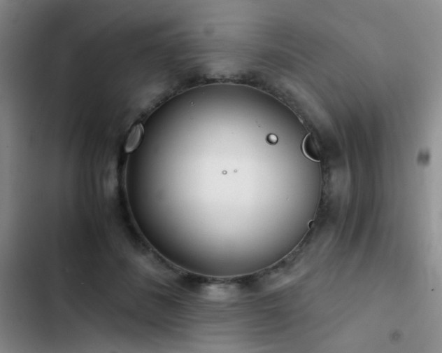 X0000103220508200808281411