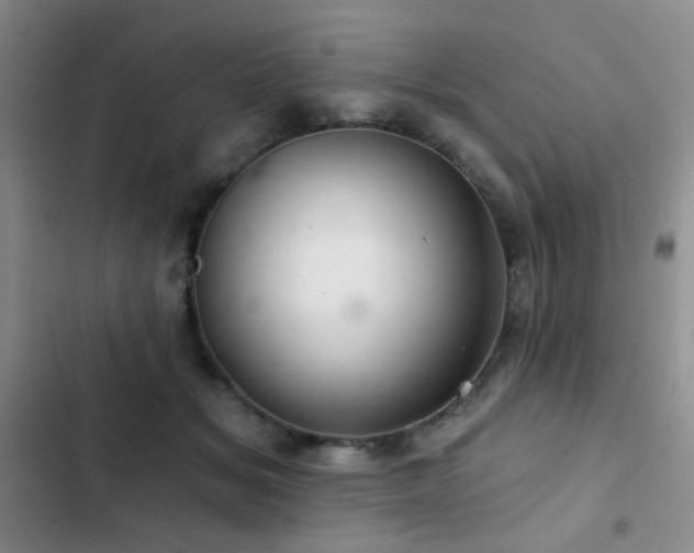 X0000103220509200808281411
