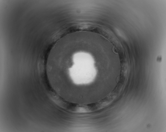 X0000103220510200808281411
