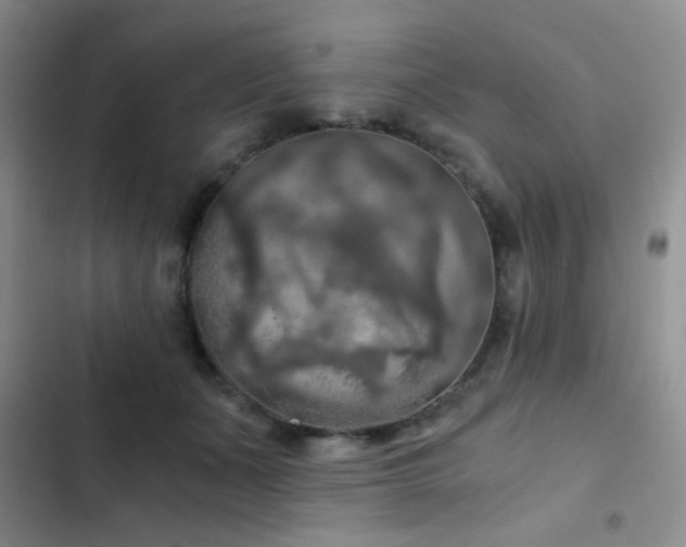 X0000103220511200808281411