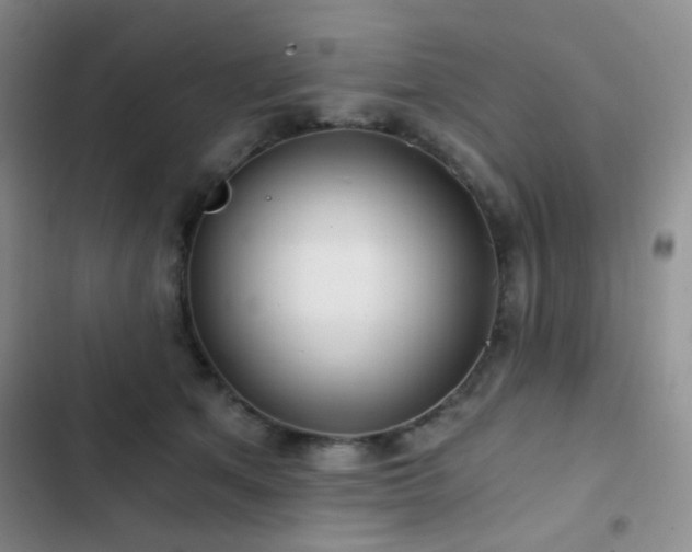 X0000103220513200808281411