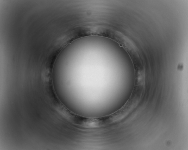 X0000103220514200808281411