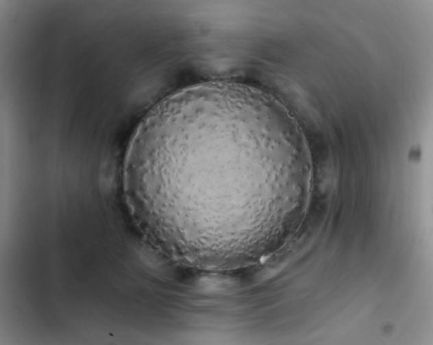 X0000103220515200808281411