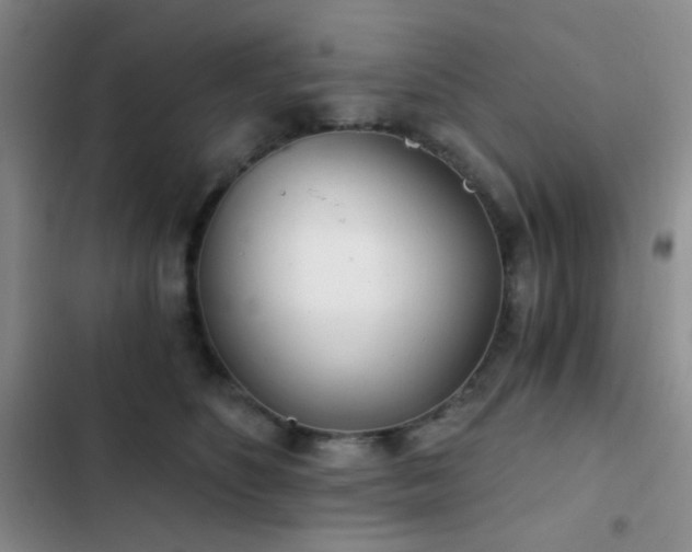 X0000103220516200808281411