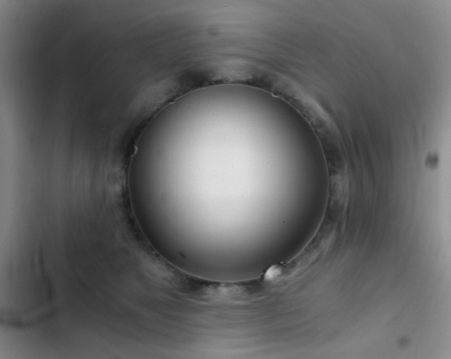 X0000103220517200808281411
