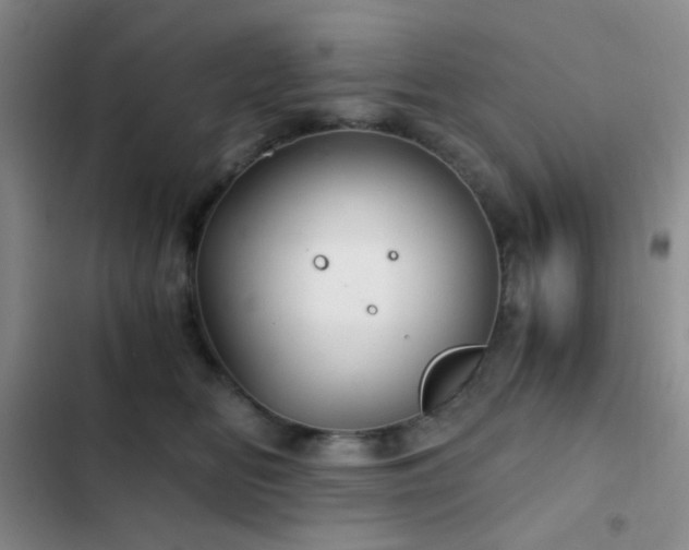 X0000103220518200808281411