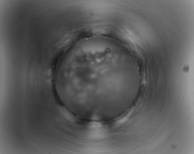 X0000103220519200808281411