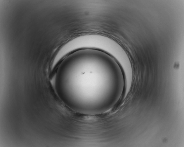 X0000103220520200808281411