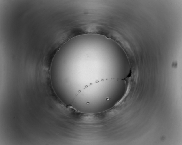 X0000103220521200808281411