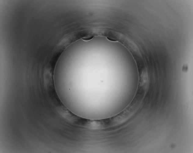 X0000103220522200808281410