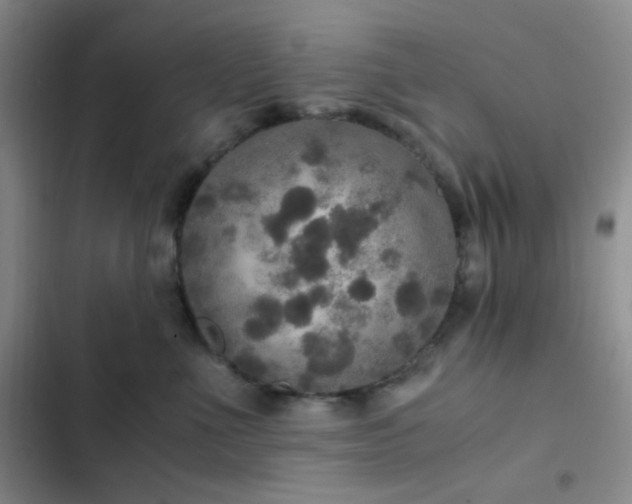 X0000103220523200808281410