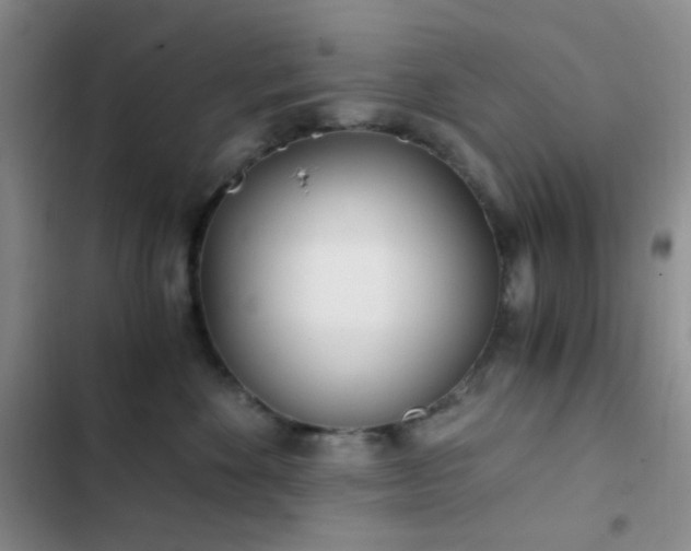 X0000103220524200808281410