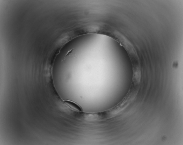 X0000103220525200808281410