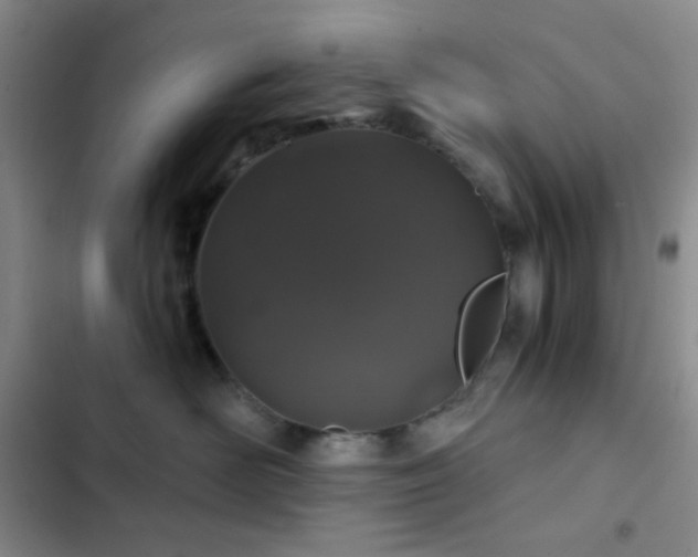 X0000103220526200808281410