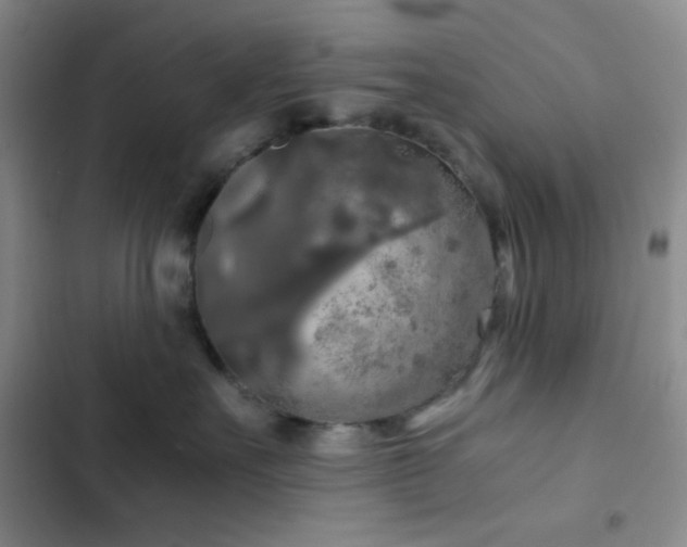 X0000103220527200808281410